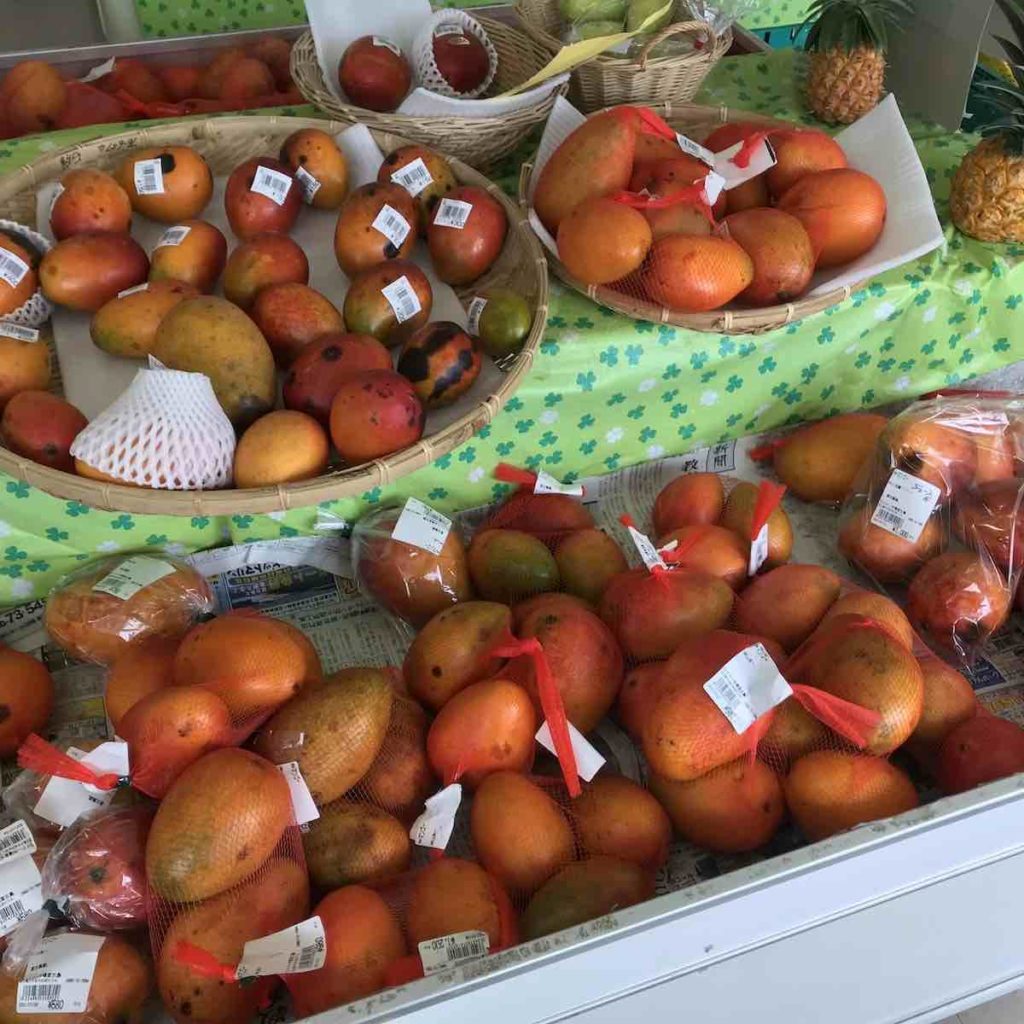 ワイドー市場に並ぶ特売のよく熟れたマンゴー