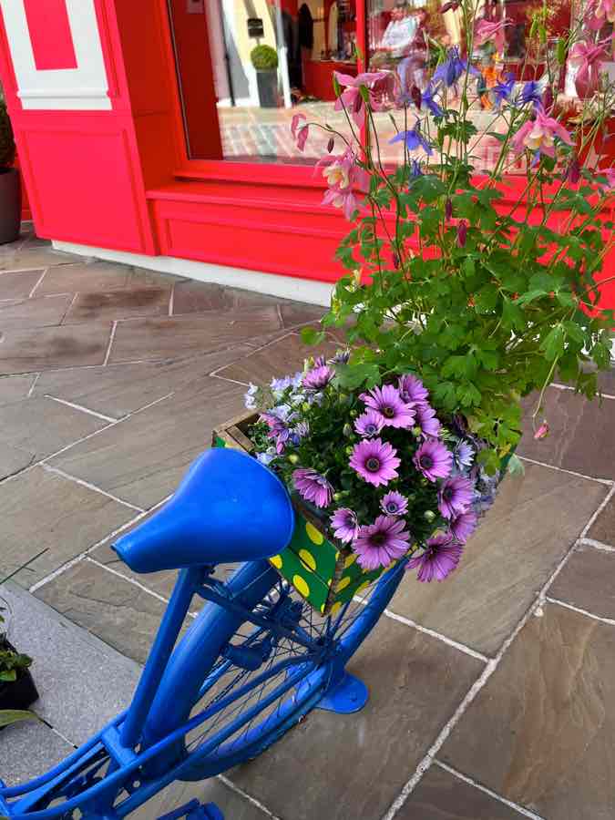 青い自転車と綺麗な花
