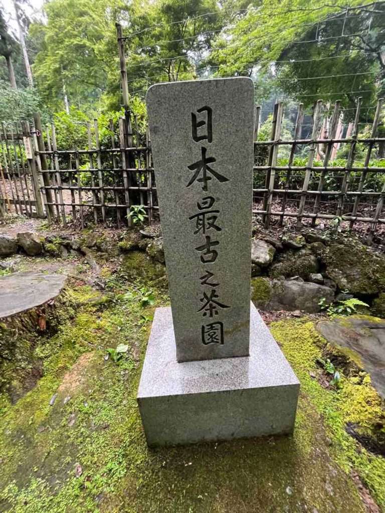 日本最古の茶園と書いた石碑