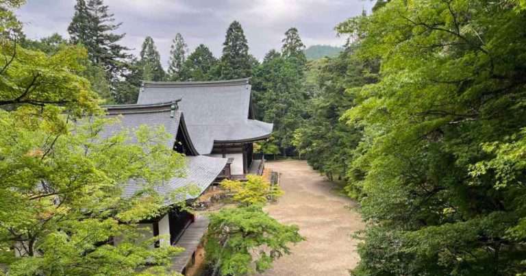 京都の神護寺の新緑