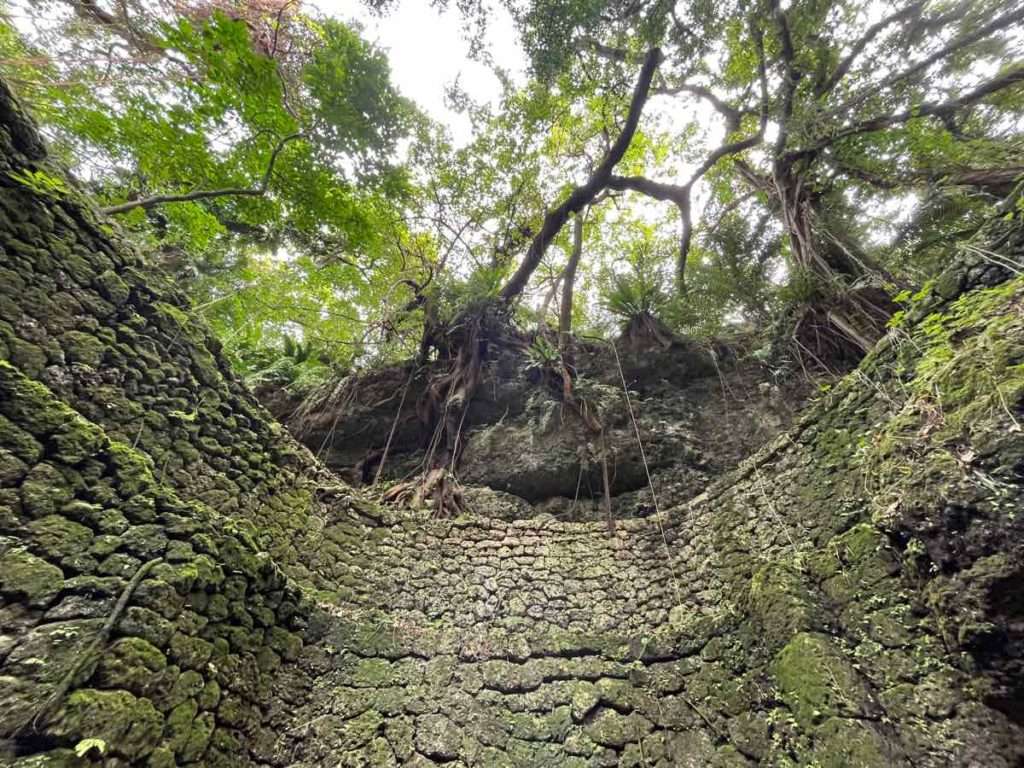 ６ｍもの石組にガジュマルの木の根が絡まっている幻想的な空間
