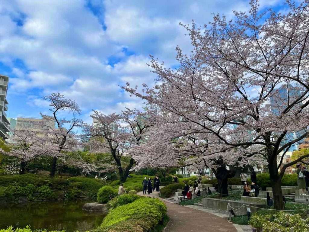 満開の桜と毛利庭園