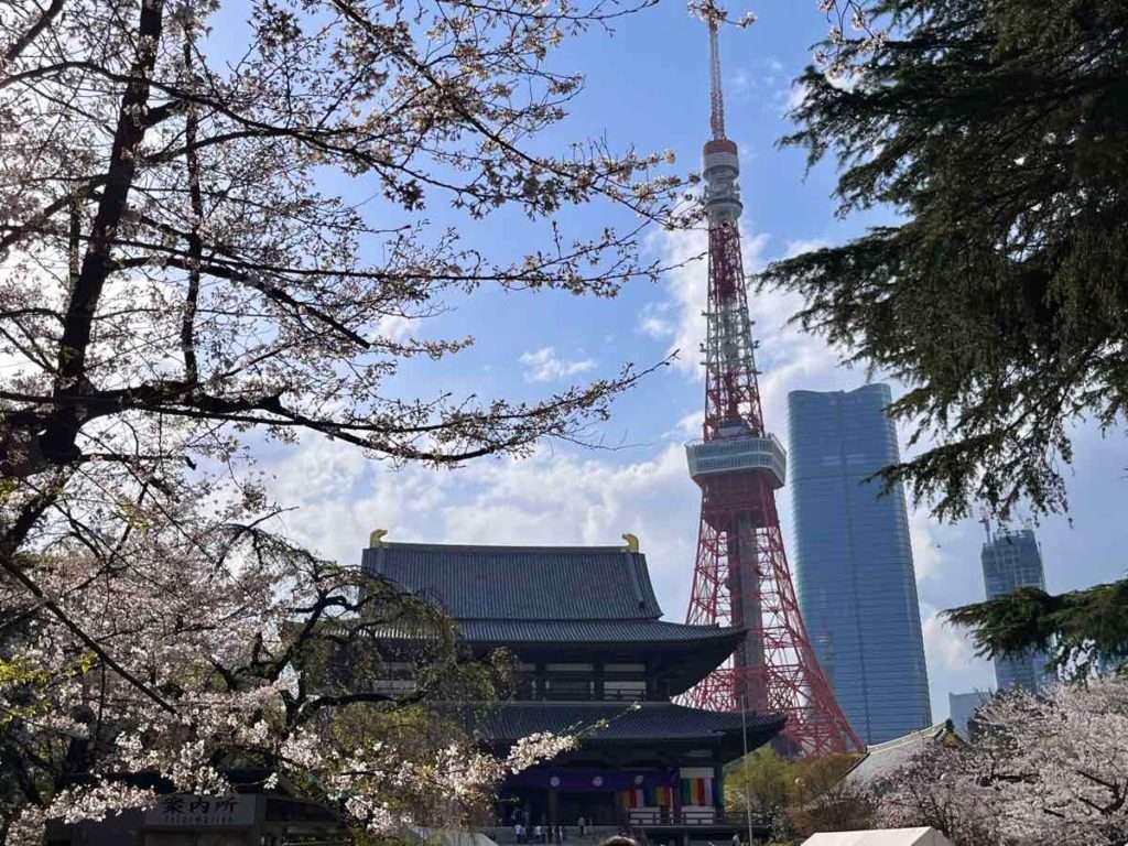 増上寺と桜と東京タワー