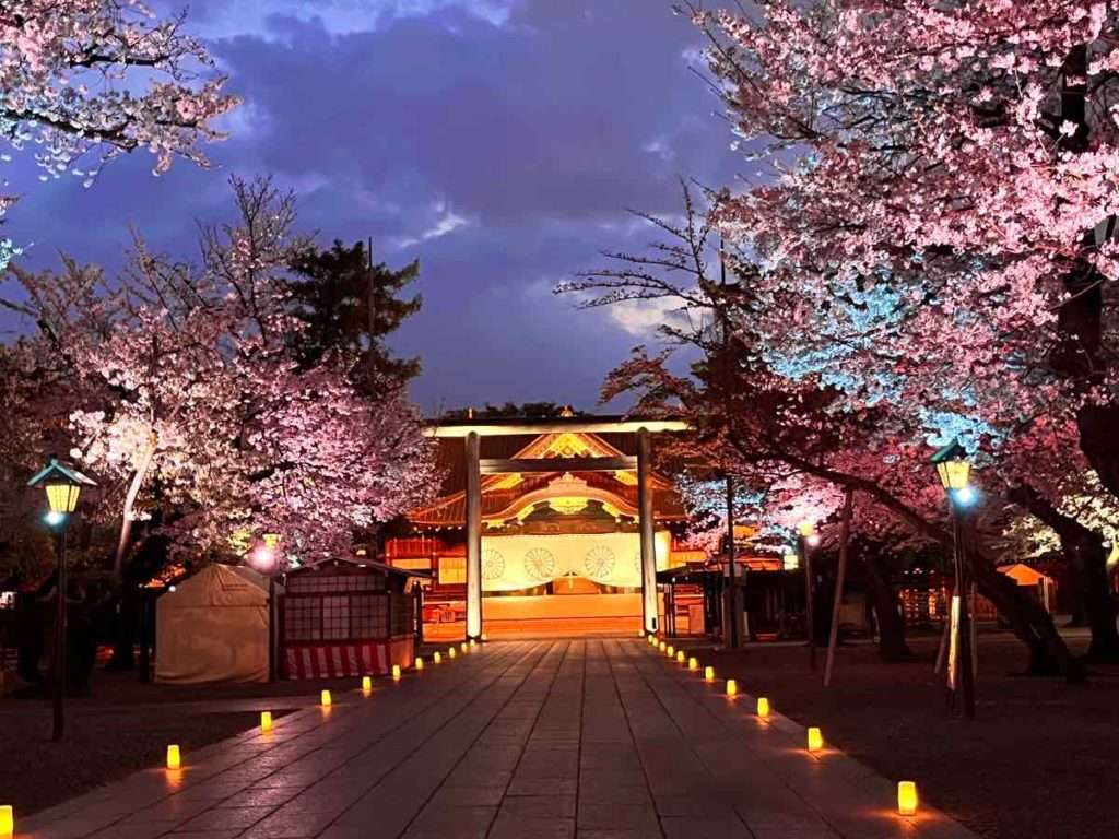 靖国神社本殿とライトアップされた幻想的な夜桜