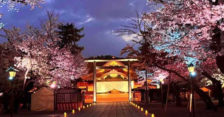 ライトアップされて美しい靖国神社の夜桜詣でみる本殿