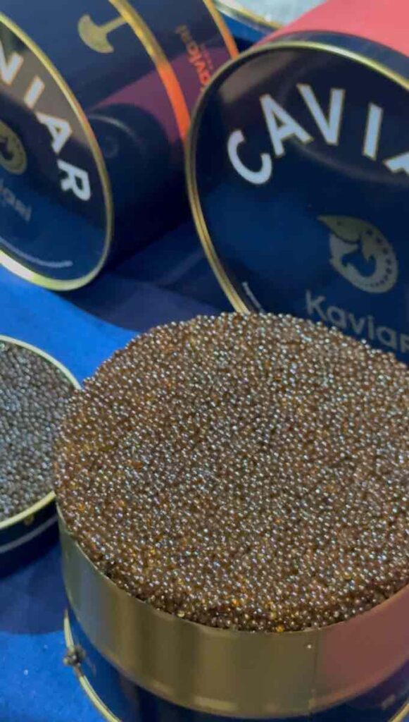 大きな缶にぎっしり詰まったキャビア